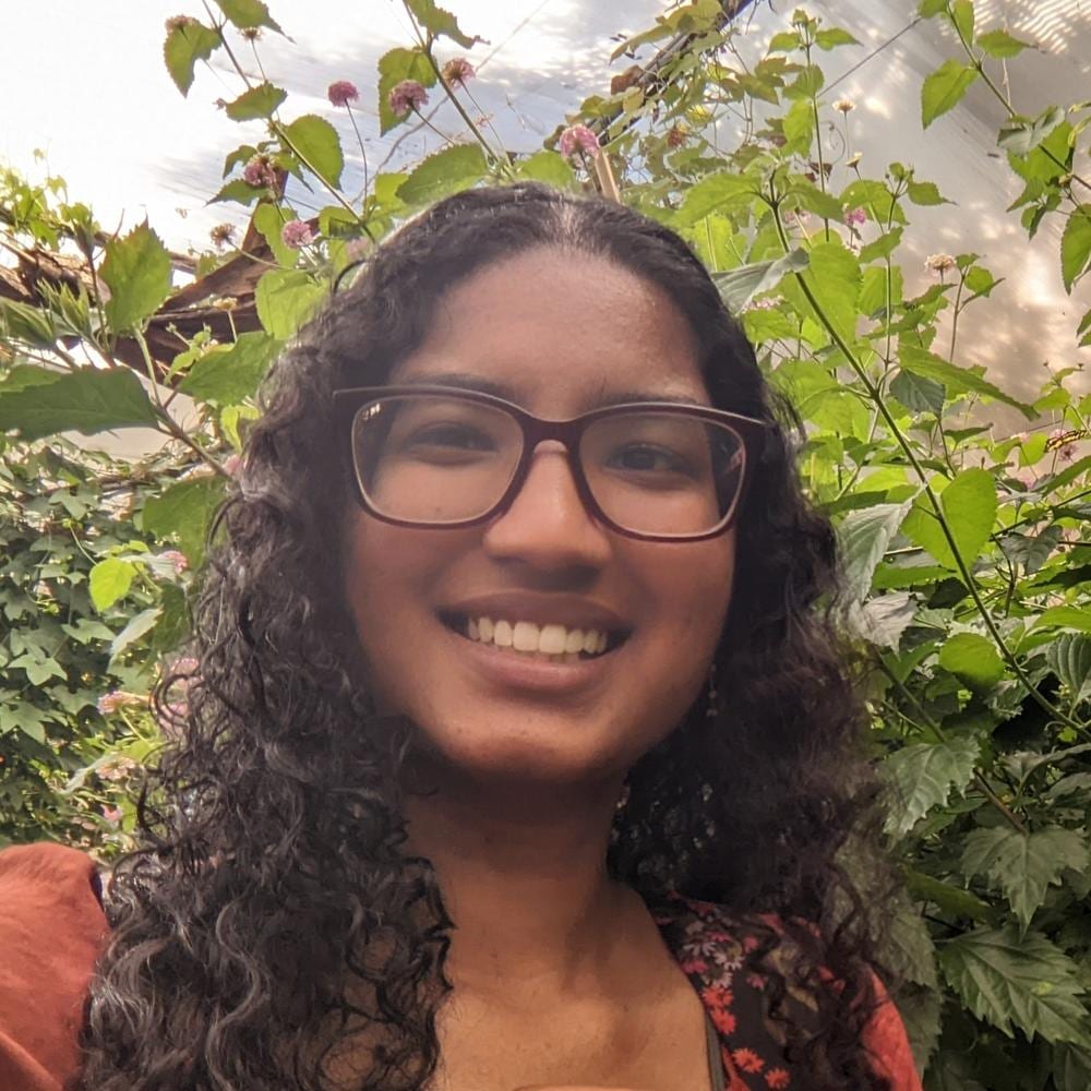 Portrait of Hashira Syed