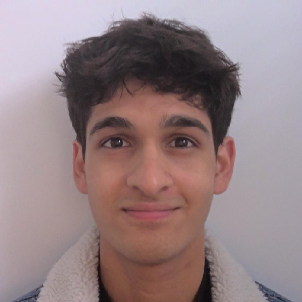 Portrait of Hamza Khan