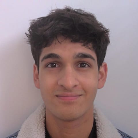 Portrait of Hamza Khan